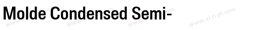Molde Condensed Semi字体转换